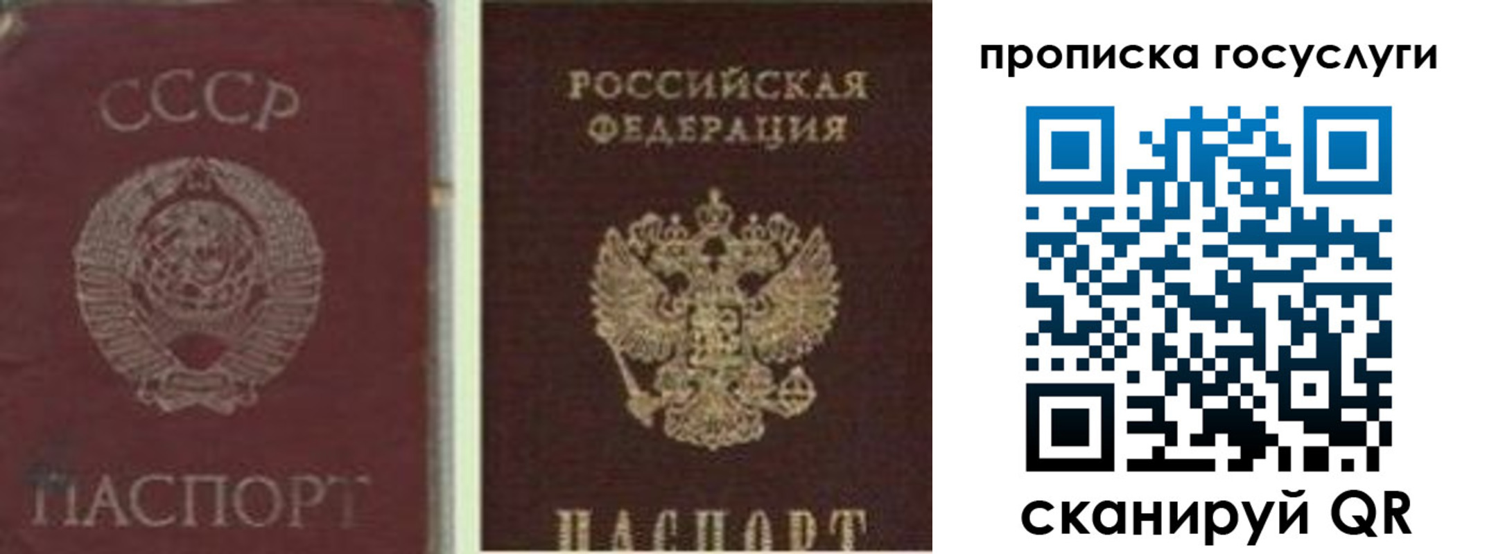 временная регистрация 2025 в Благодарном